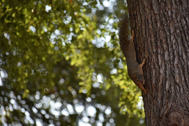 展具有重大 展具有重大