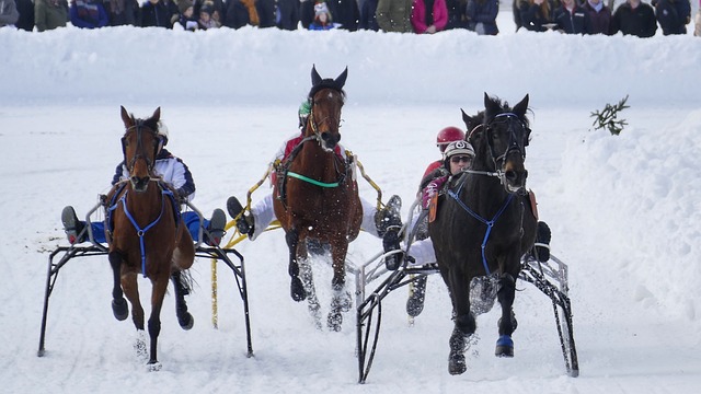 原文内容有 原文内容有