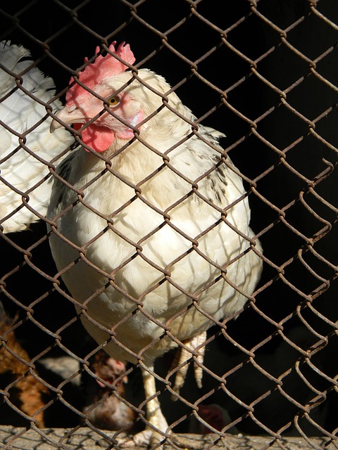 入胶着阶段 入胶着阶段