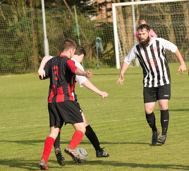 本菲卡試圖 本菲卡試圖