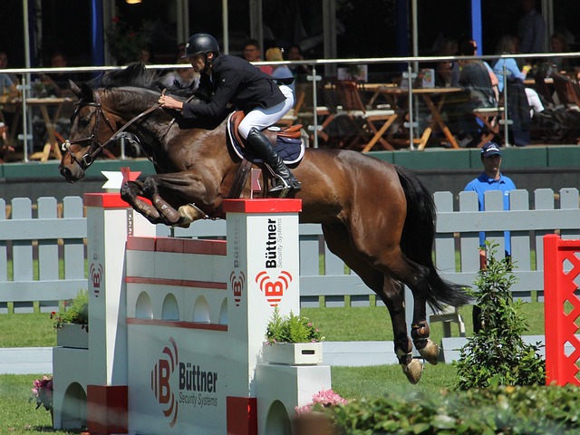 角色奠定了 角色奠定了