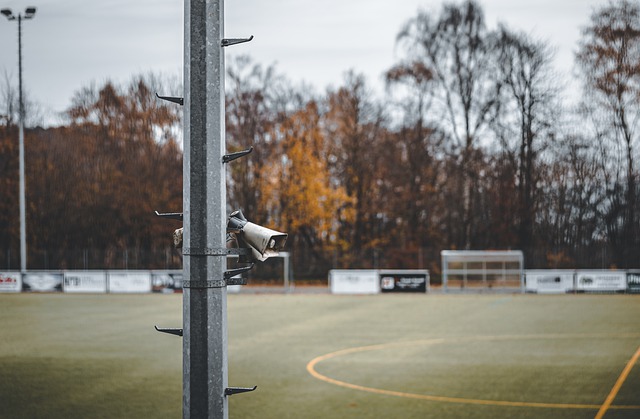 独树一帜 独树一帜