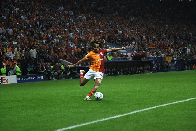 心地设立了 心地设立了