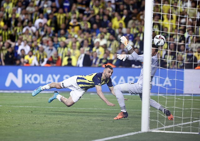 土耳其主帅 土耳其主帅