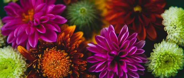 的完美结合 的完美结合